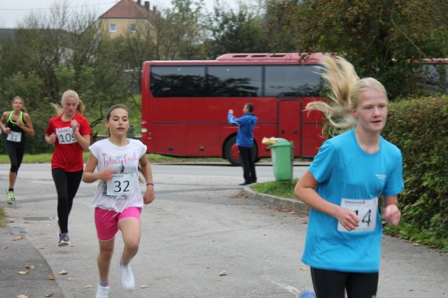 crosscountry2016_bezirkperg 31